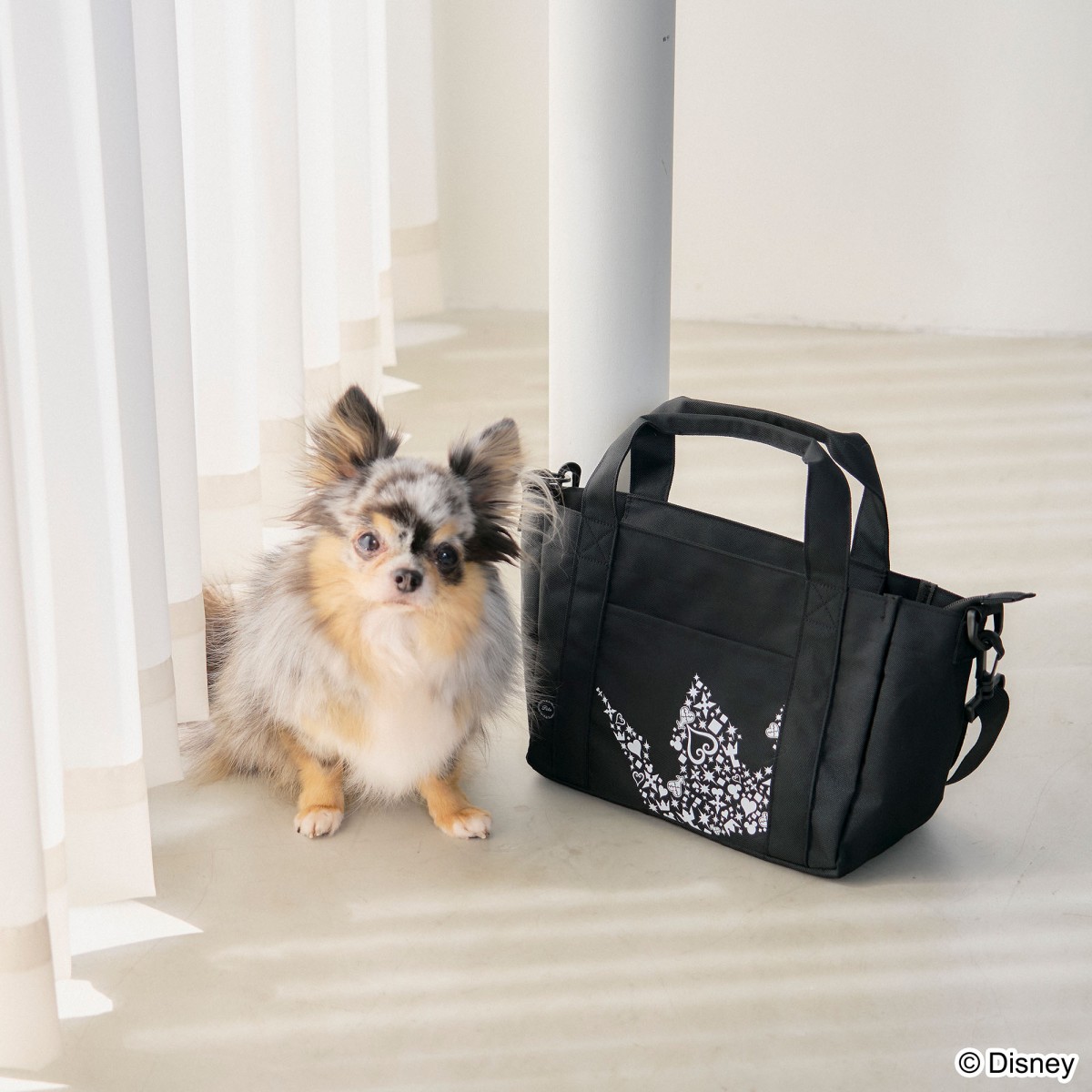 『KINGDOM HEARTS PETs』ペットグッズ＿20250403
