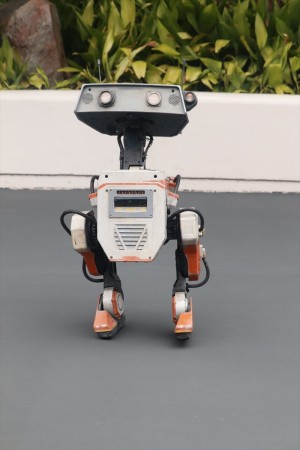 20250407_東京ディズニーランドにドロイド「BDX」が新登場！