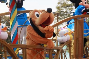 20250407_「クワッキーセレブレーション★ドナルド・ザ・レジェンド！」
