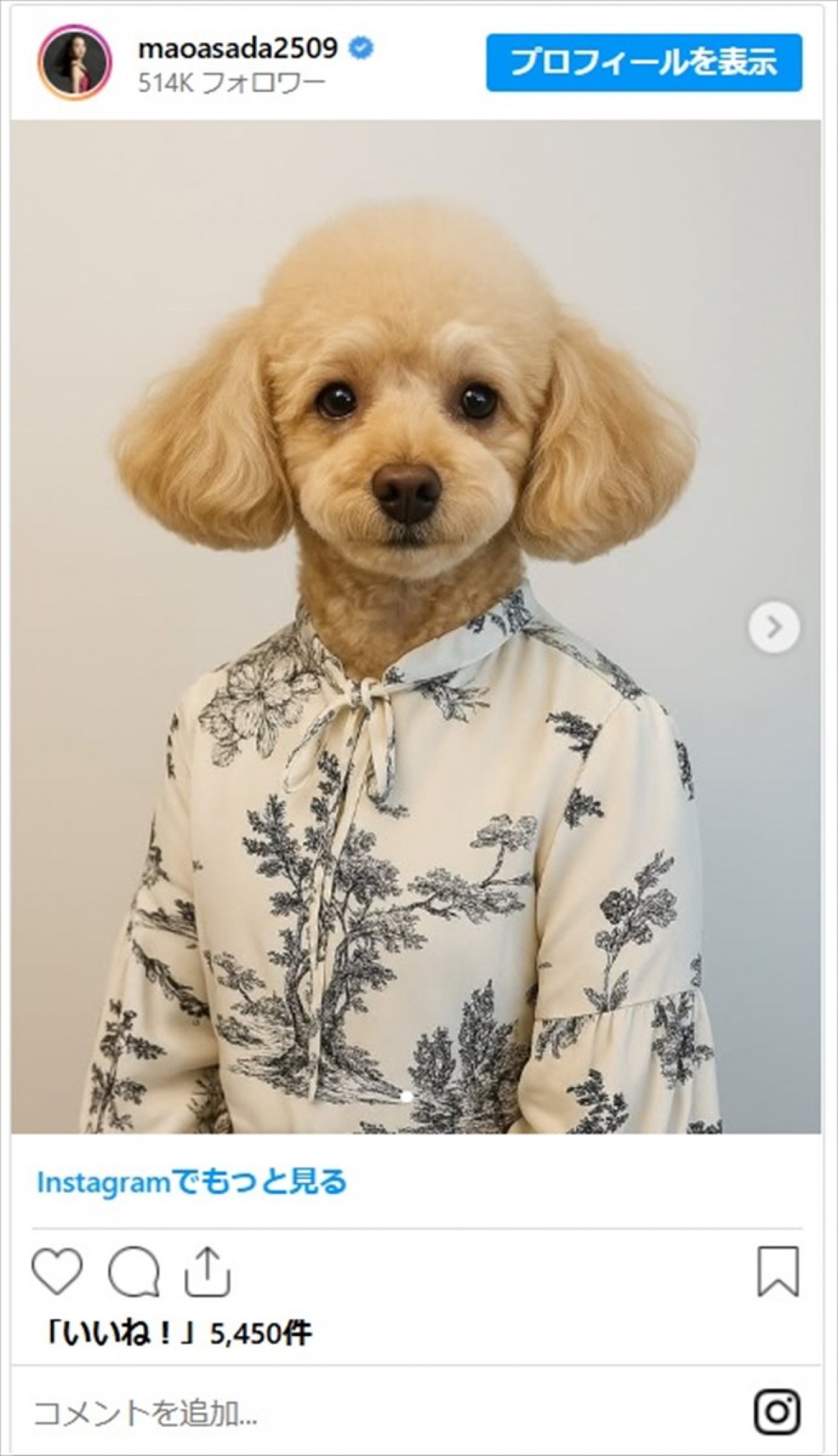 浅田真央さん、旅立った愛犬そっくりなトイプードルになる　AIが生成した画像に「エアロだ」