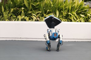 20250407_東京ディズニーランドにドロイド「BDX」が新登場！