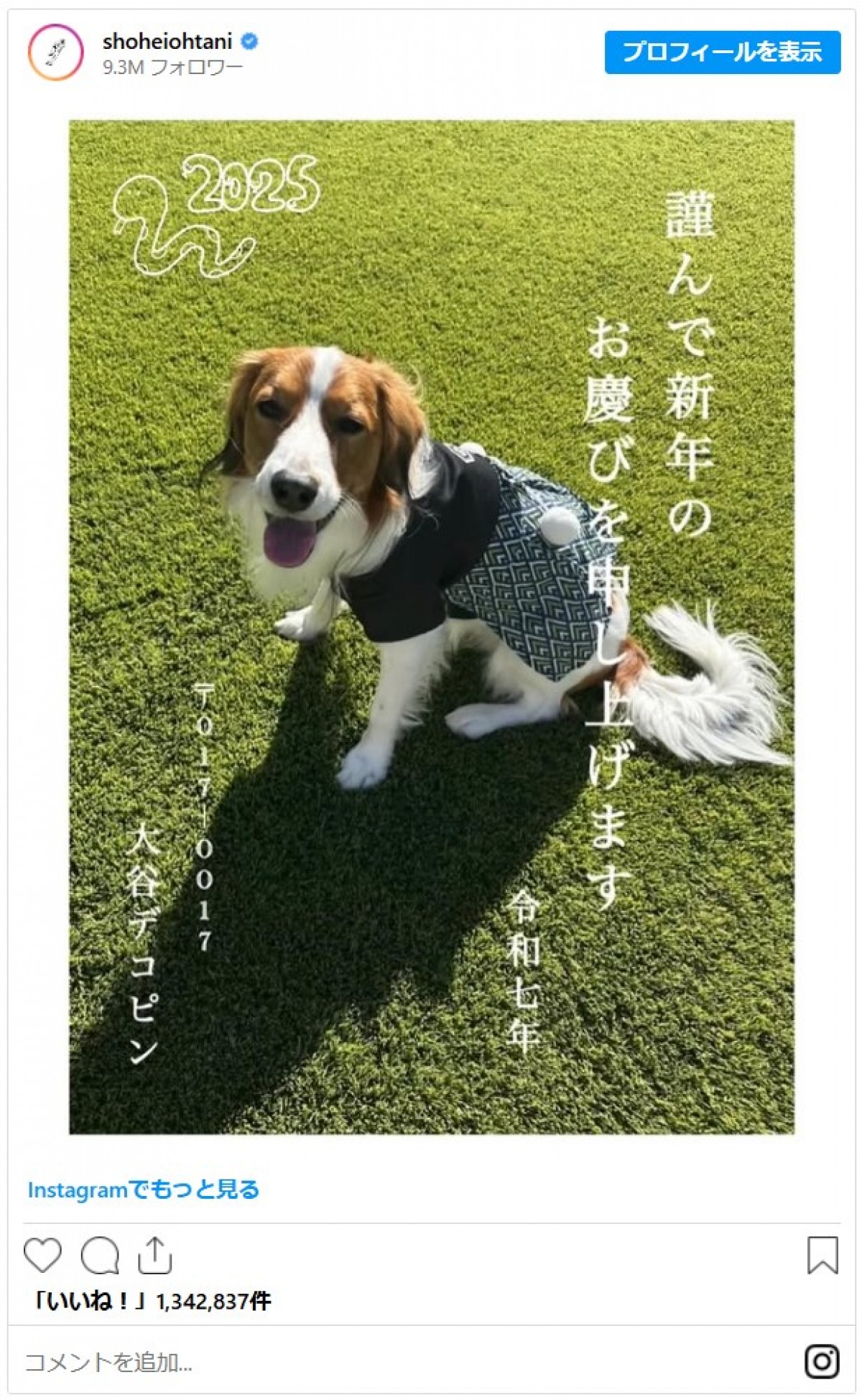 大谷翔平に並ぶ人気者！ 愛犬・デコピン、2025年のかわいすぎる瞬間を振り返り 「いつ見ても癒し」「幸運のワンちゃん」