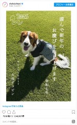 “大谷デコピン”から新年のあいさつ　※「大谷翔平」インスタグラム
