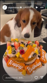 大谷翔平、愛犬・デコピンの2歳の誕生日をケーキでお祝い　※「大谷翔平」インスタグラム
