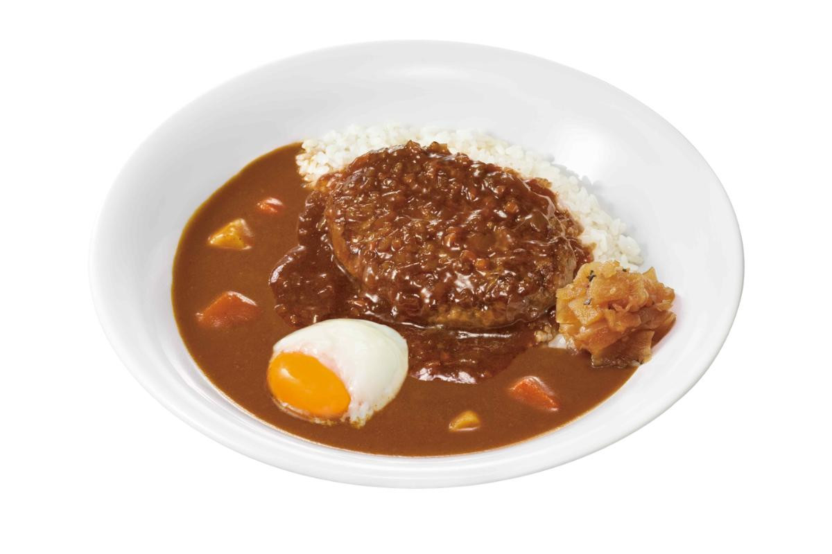 20250501「煮込みハンバーグカレー」