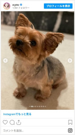 浜崎あゆみ、愛犬との思い出を振り返る　※「浜崎あゆみ」インスタグラム