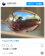 360億円超の資産を持つジュリア・ロバーツ、結婚記念日は地味にテントでお祝い※「Daniel Moder」インスタグラム