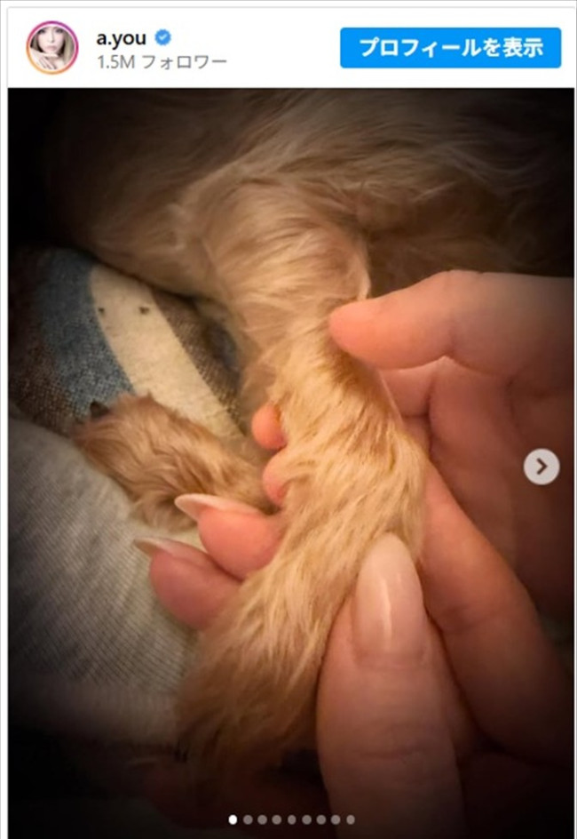 浜崎あゆみ、愛犬との思い出を振り返る ※「浜崎あゆみ」インスタグラム