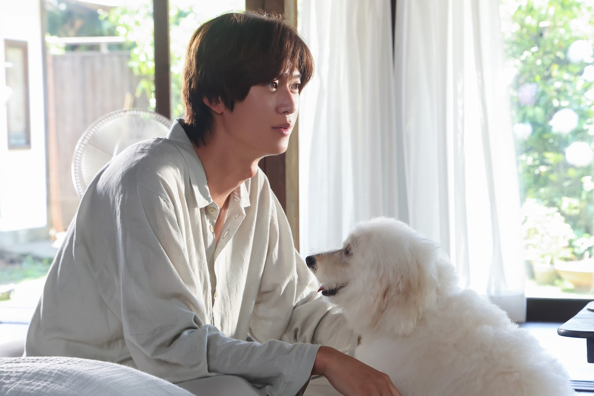 『初恋DOGs』「負け犬だ」“ソハ”ナ・イヌの言葉に“快”成田凌あ然　ネットも動揺「心にもないことを…」