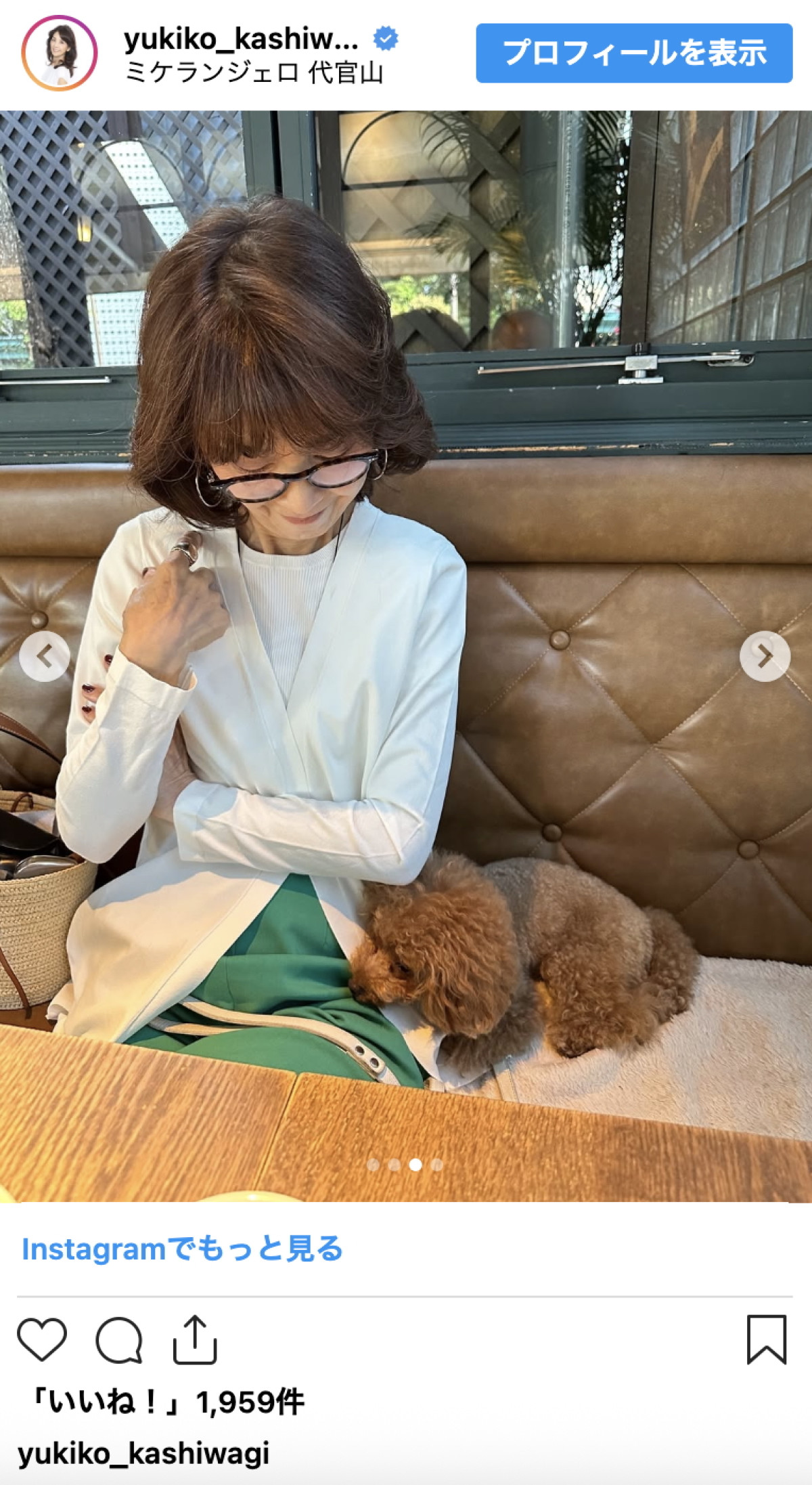 柏木由紀子77歳、変わらぬ美しさと愛犬との日常に「とっても素敵」「可愛い」