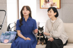 火曜ドラマ『初恋DOGs』第7話より
