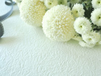 麻雀プロ・前原雄大さん死去