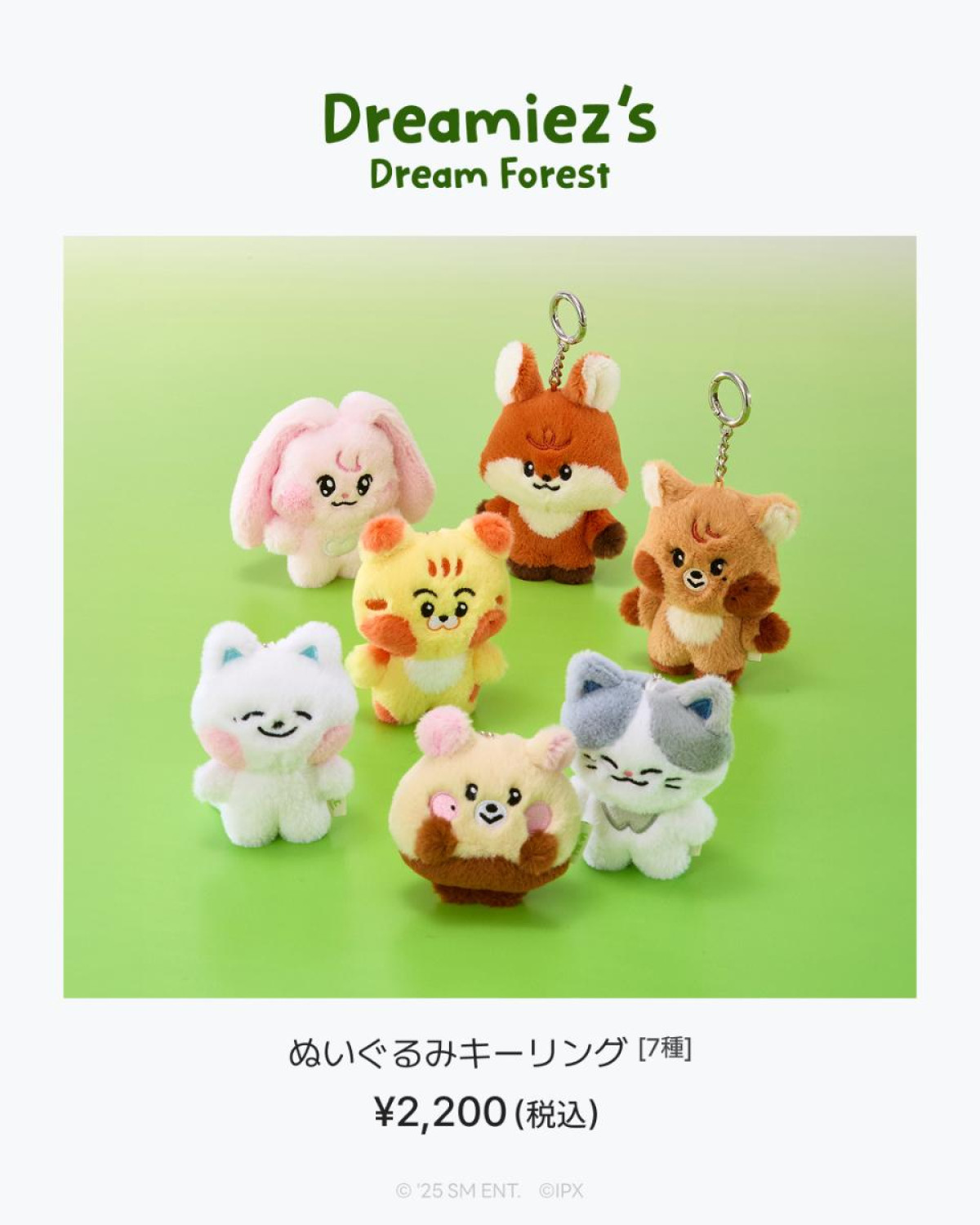 251008「Dreamiez’s Dream Forest POP－UP」