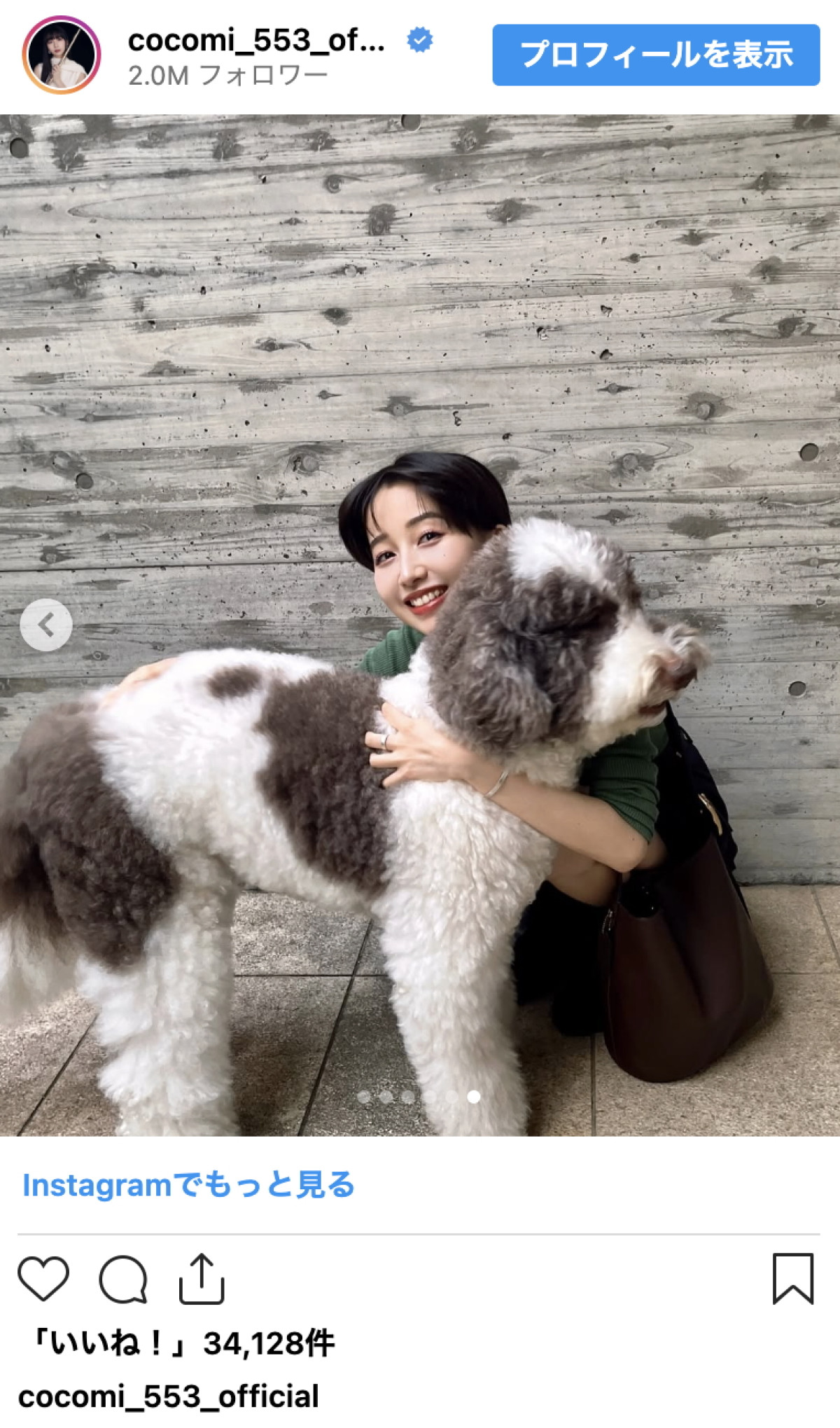 Cocomi、祖母撮影のミニスカショットで美脚あらわ　かわいい愛犬も登場「お出迎えしてくれました」