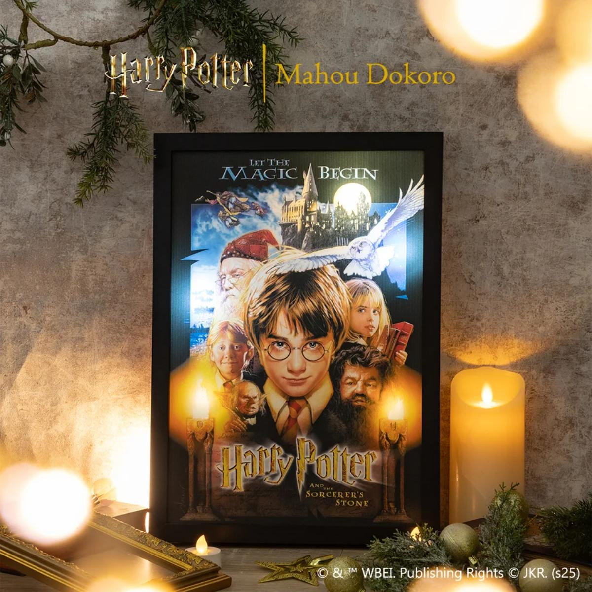 251029『ハリー・ポッター』