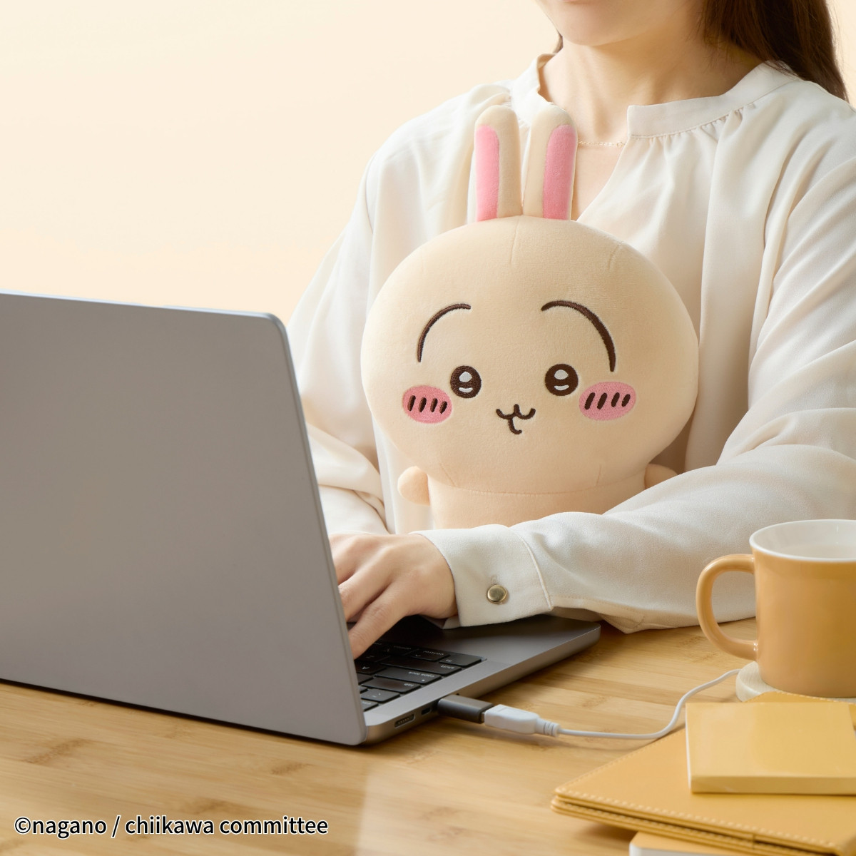 20251029 あったかぬいぐるみ　ちいかわ