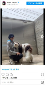 工藤静香、愛犬とのスキンシップシーンがかわいすぎ　※「工藤静香」インスタグラム