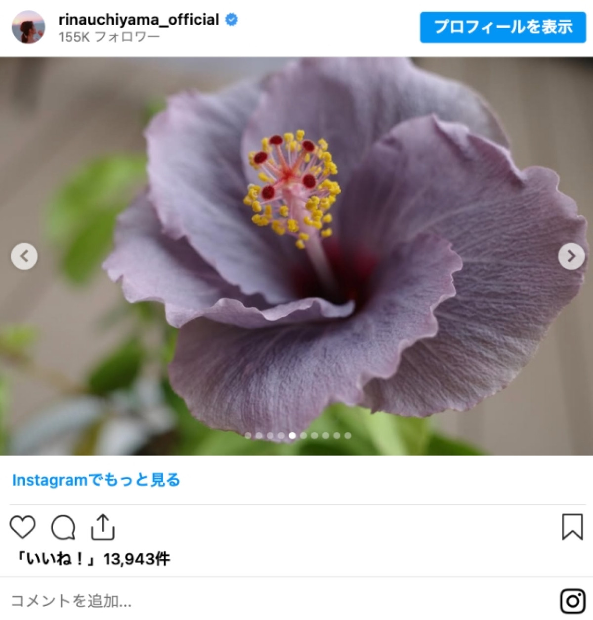 内山理名、44歳を迎えた今の想いを明かす　手料理にも絶賛の声「ご飯屋さんみたい」