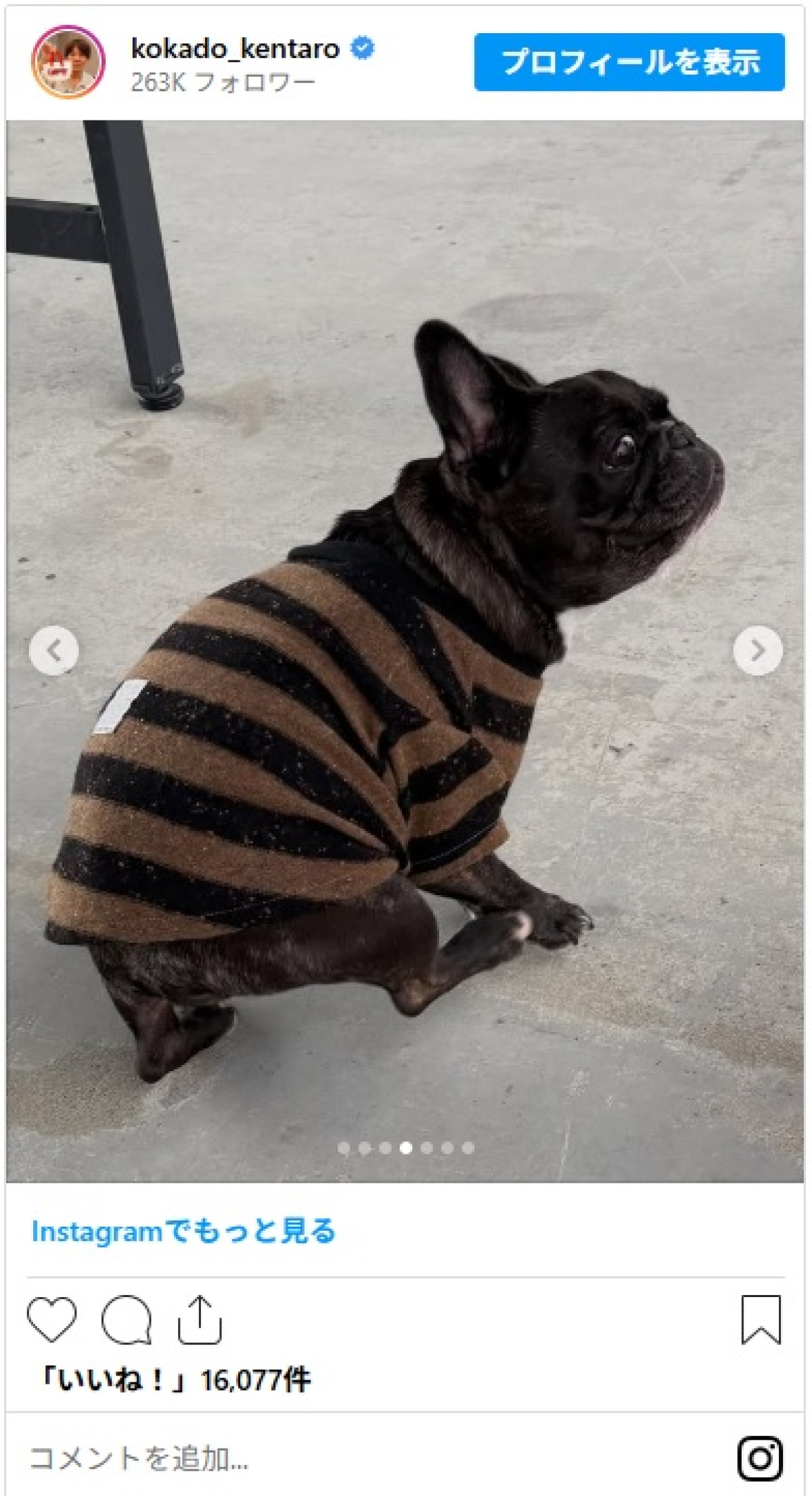 人気芸能人も愛用　ロッチ・コカド、プロ級のハンドメイドにファン驚き「最高の仕上がり」「是非お店出店を!!」