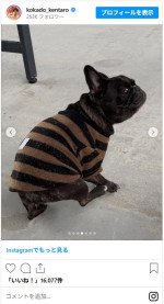 コカド作のかわいいフレブルTシャツ　※「コカドケンタロウ（ロッチ）」インスタグラム