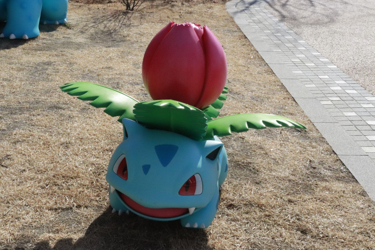 20260126 ポケパーク