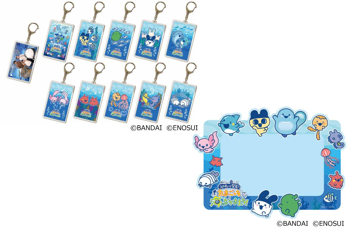 260226「えのすいで発見!!　たまごっちと海のなかまたち！」