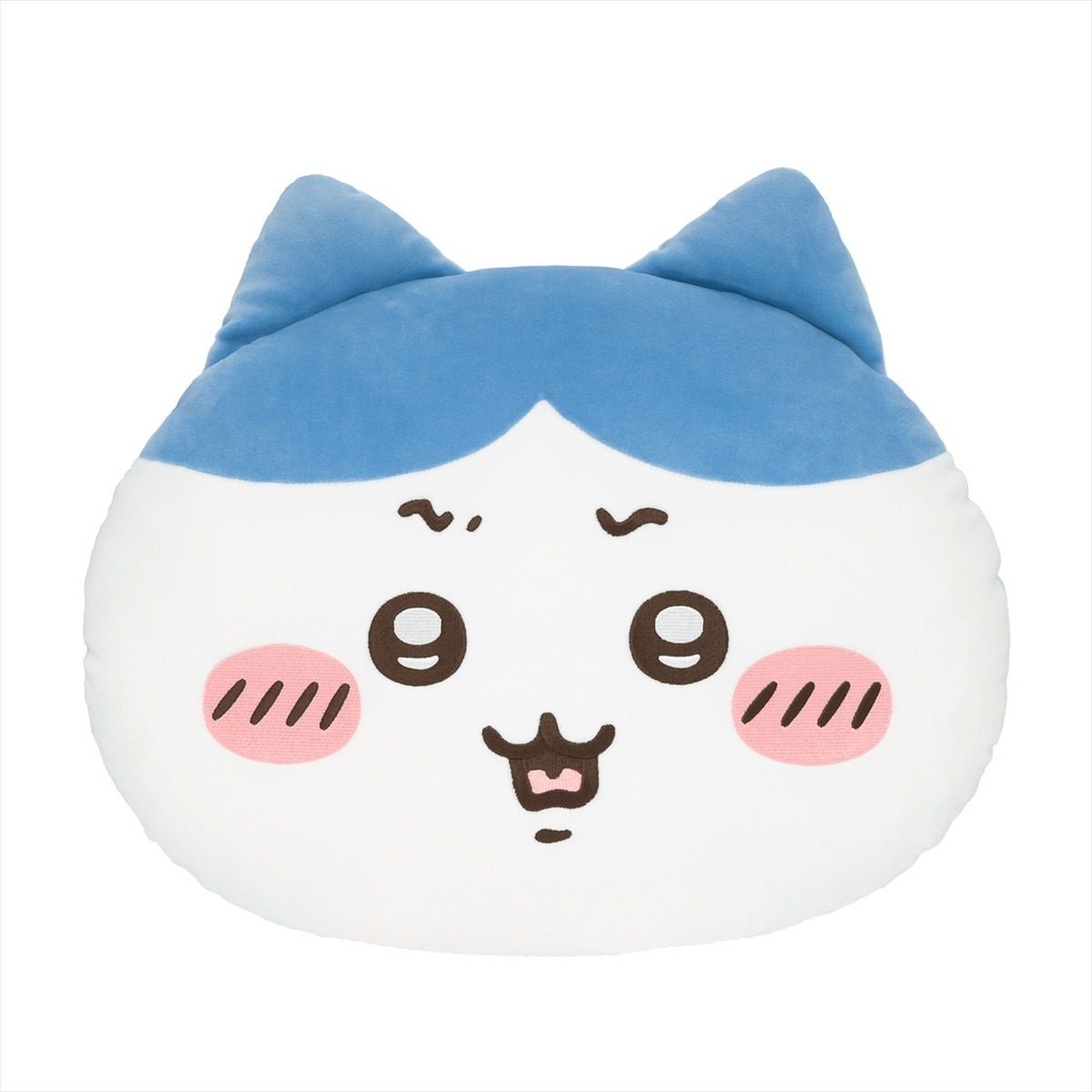 20260217_ハチワレだらけくじ