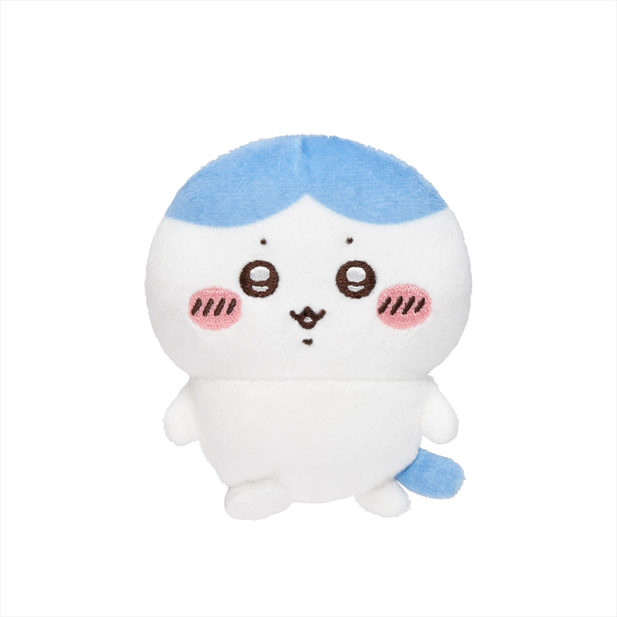 20260217_ハチワレだらけくじ