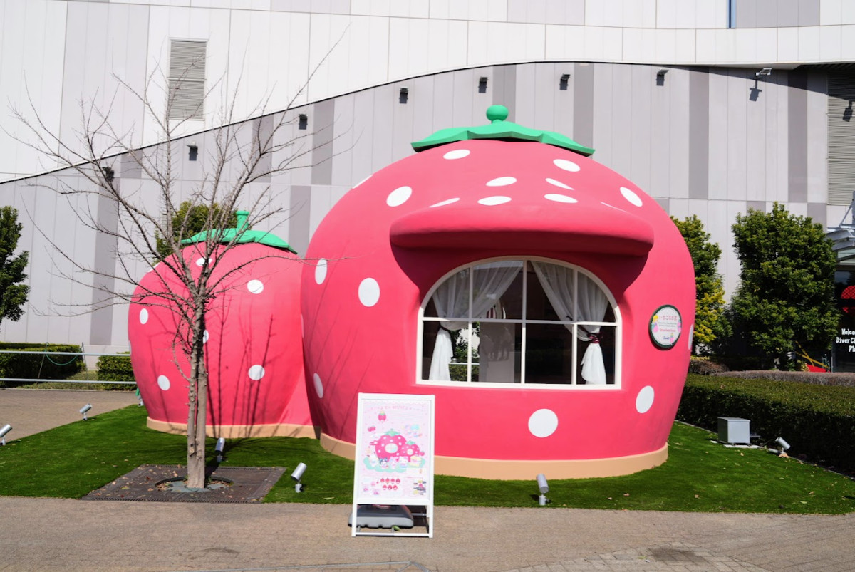 20260305 いちごのお家