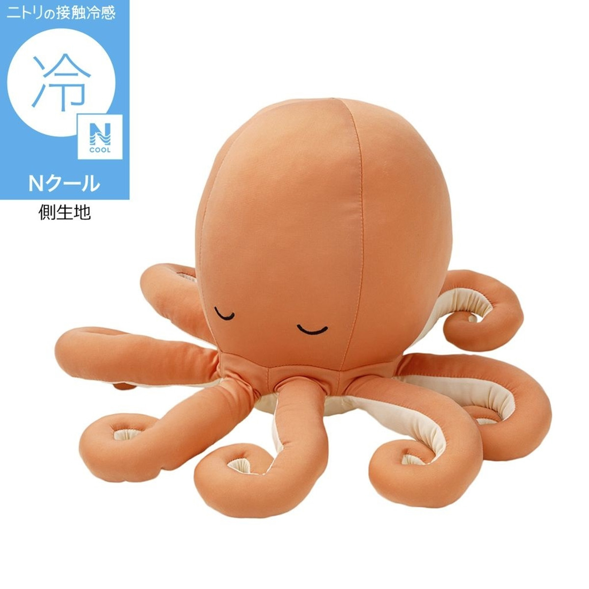 20260313_Nクールぬいぐるみ
