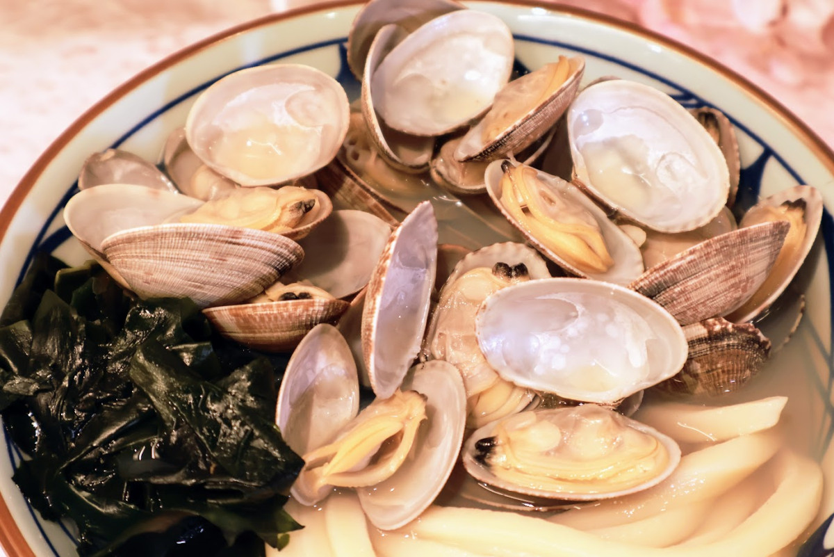 20260301 丸亀製麵