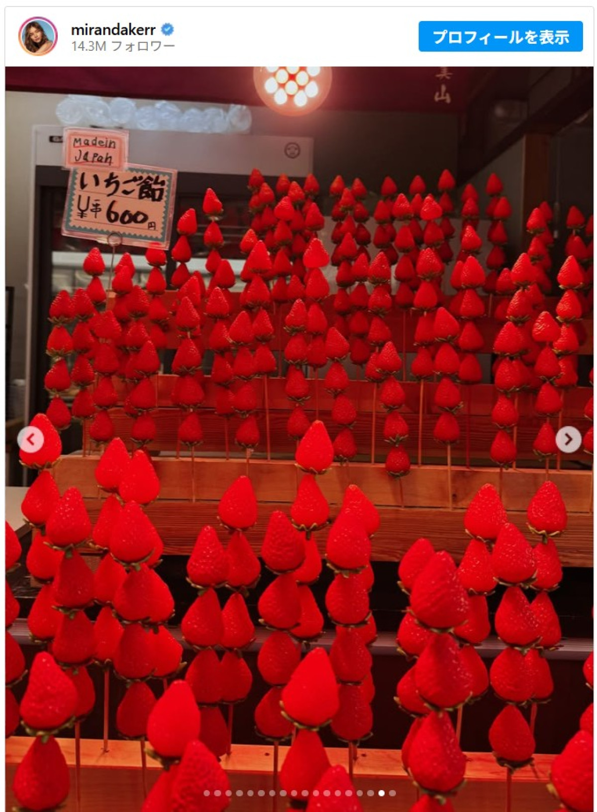 ミランダ・カーが来日！　京都のお茶室で夫とほっこり2ショット公開