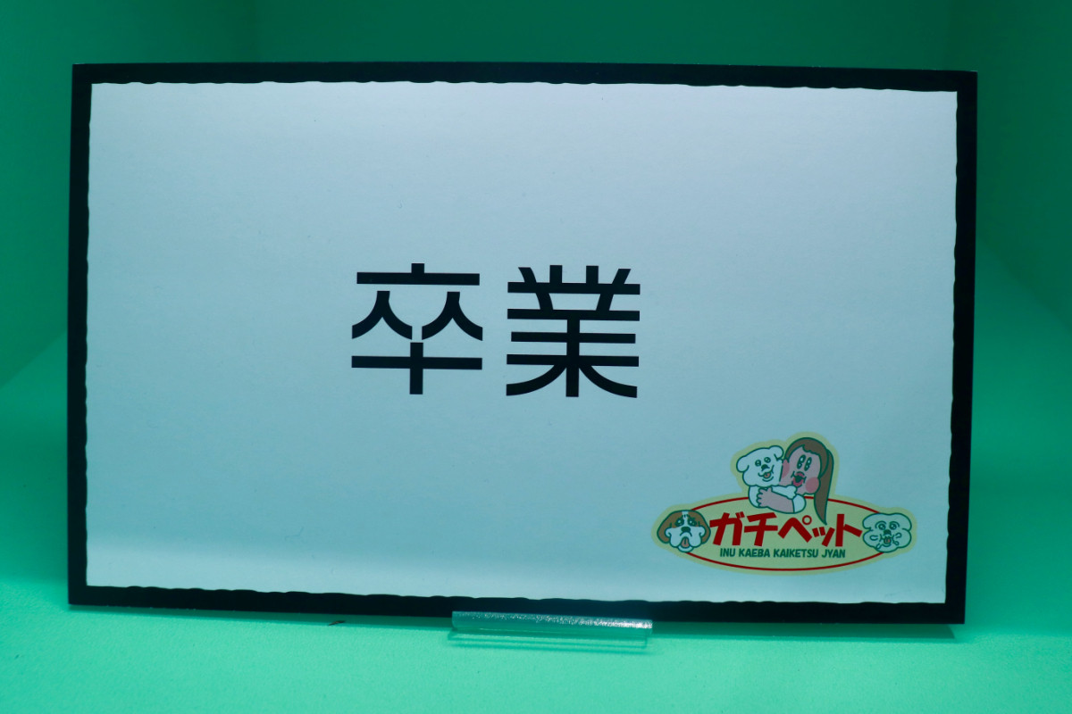 20260424_「祝 閉店！可哀想に！デパート」展