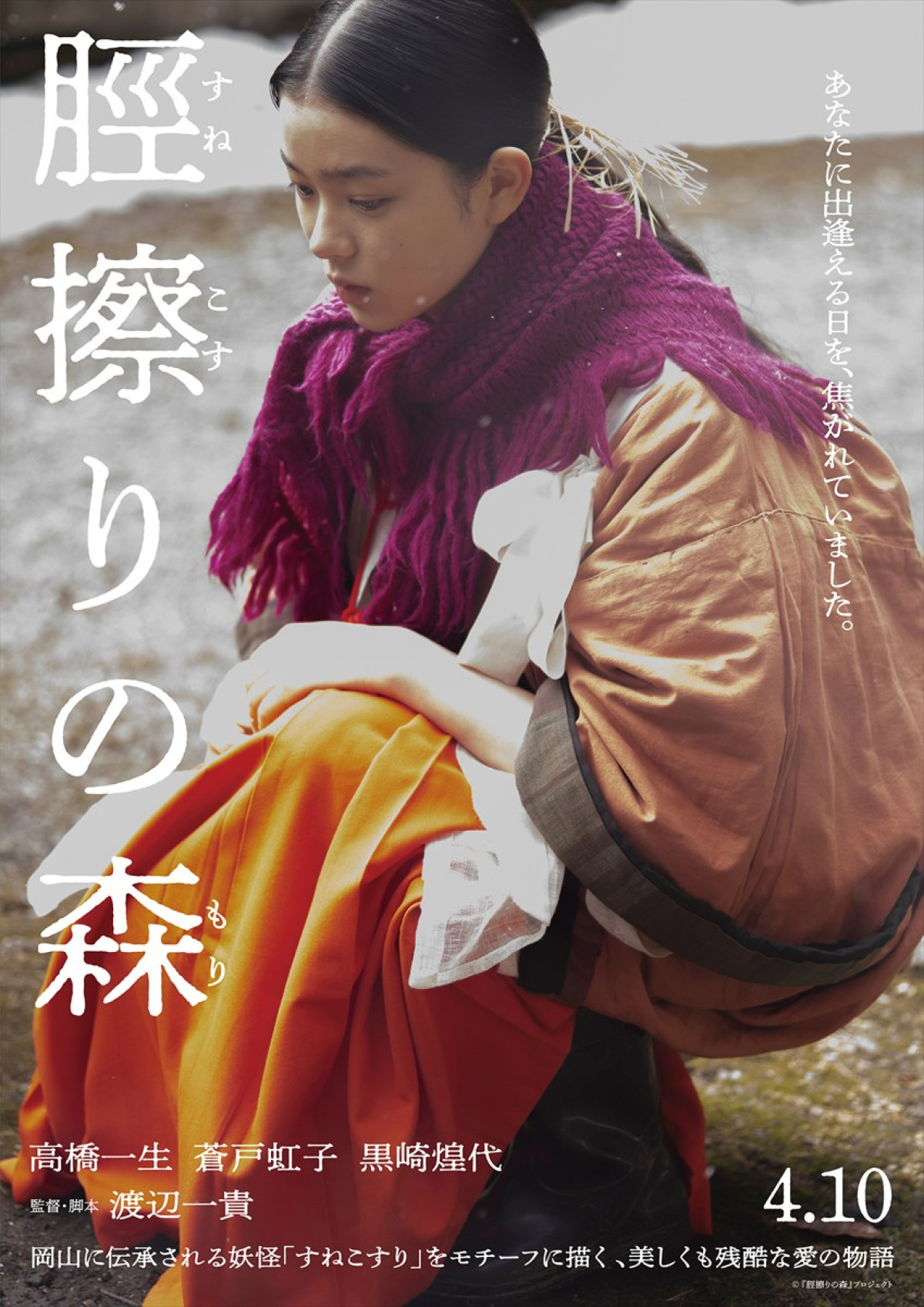 『脛擦りの森』静謐な美しさに魅入られる――新ビジュアル8点＆SP予告解禁