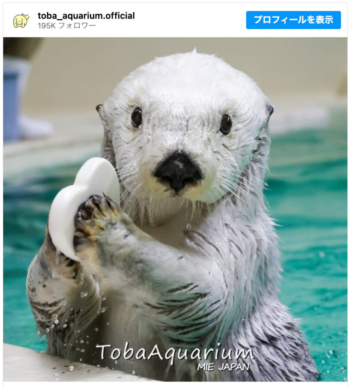 20260508_鳥羽水族館