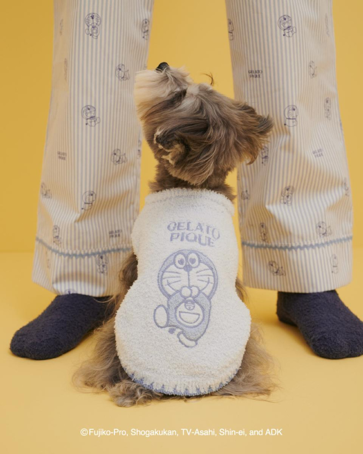 260110「ドラえもん meets GELATO PIQUE」