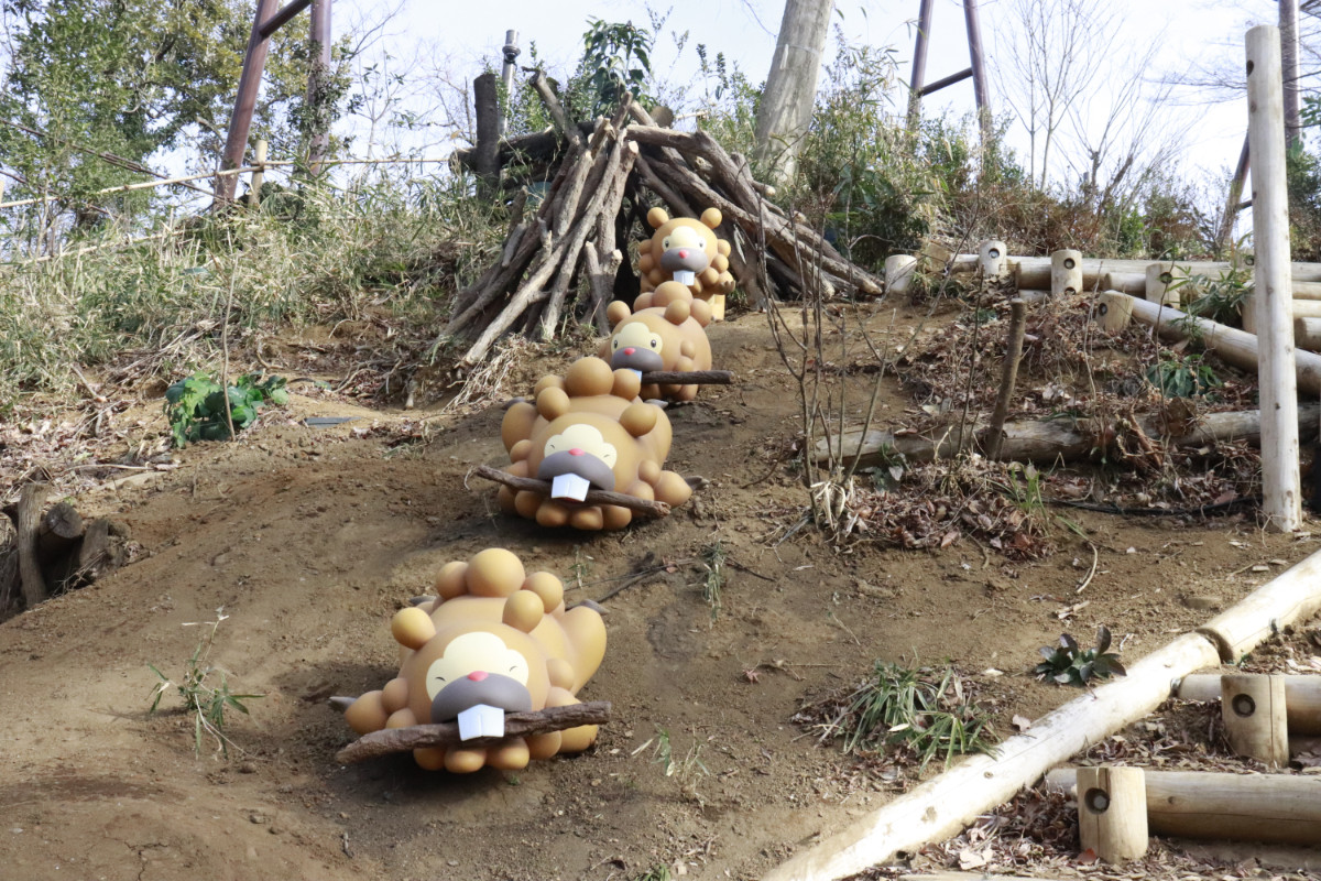 20260126 ポケパーク カントー