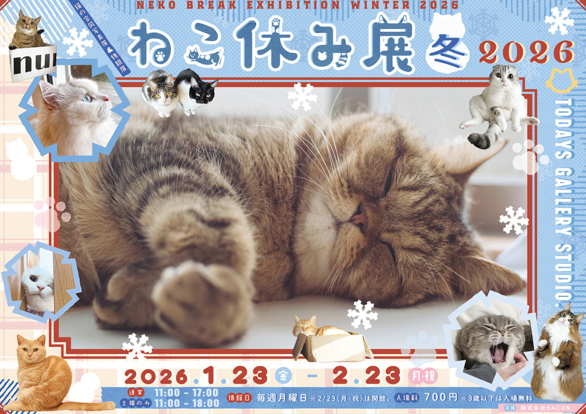 2026.1.17ねこ休み展