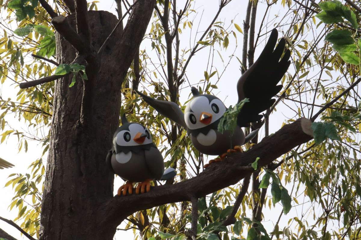 20260126 ポケパーク