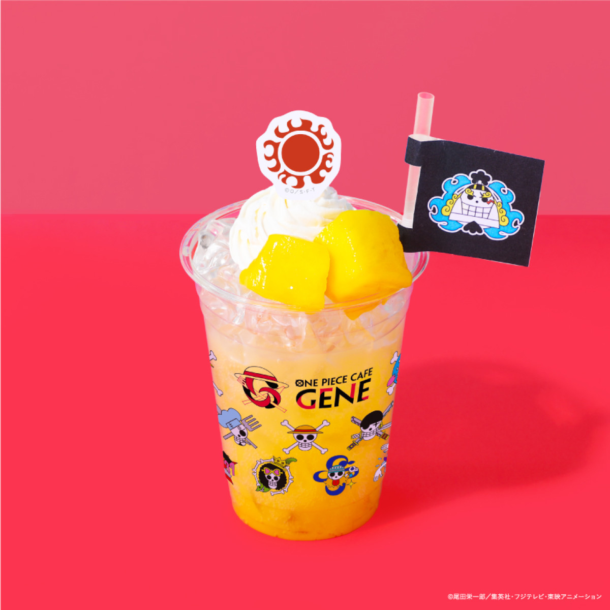 20260116 ONE PIECE CAFE GENE