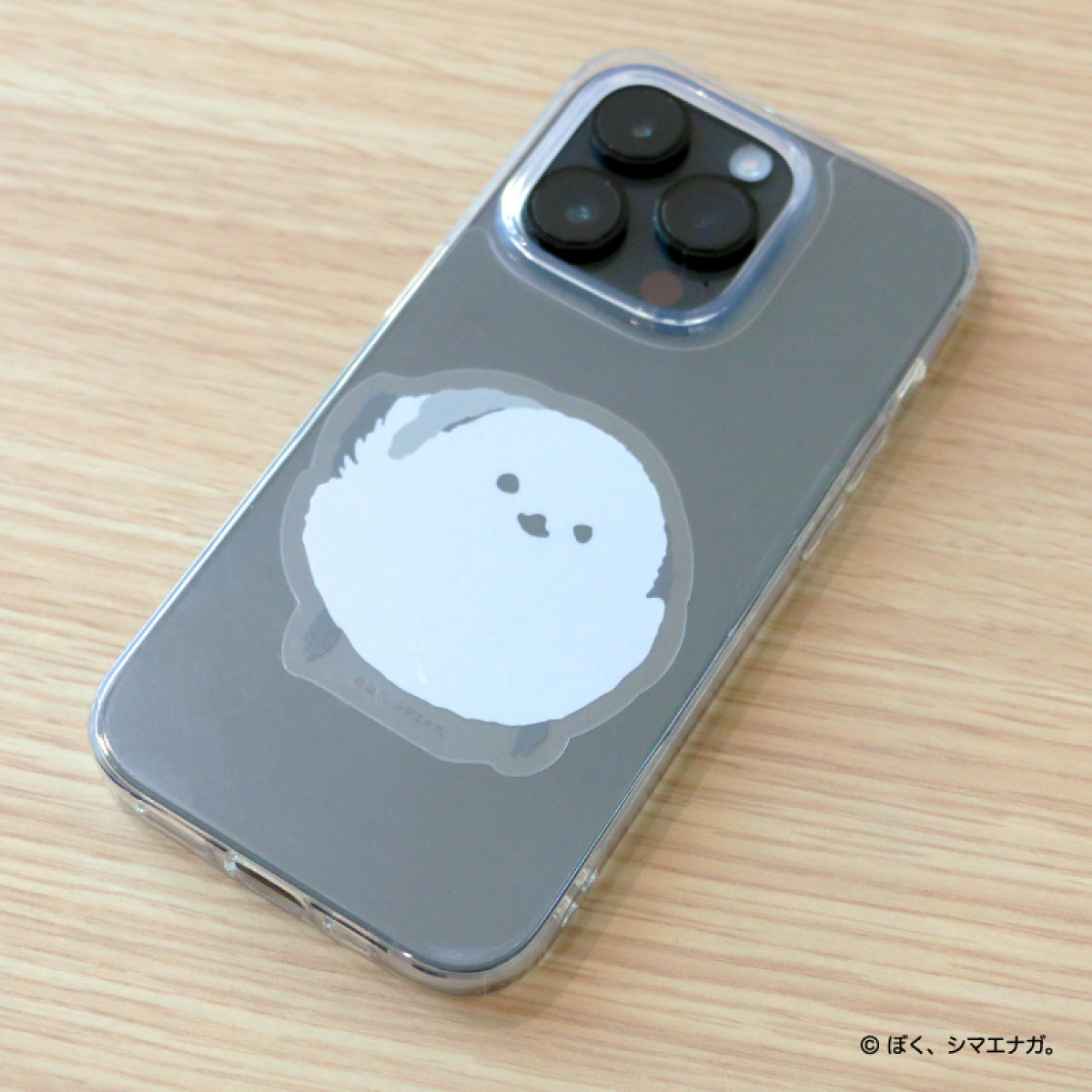 20260116 郵便局「ぼく、シマエナガ。」