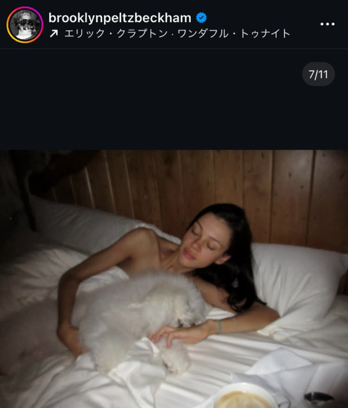 ブルックリン・ベッカム＆ニコラ・ペルツ、確執中の母ヴィクトリア・ベッカム叙勲の裏でラブラブ姿をシェア