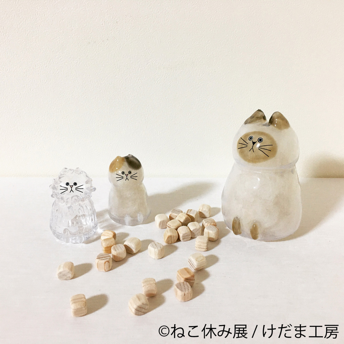 2026.1.17ねこ休み展