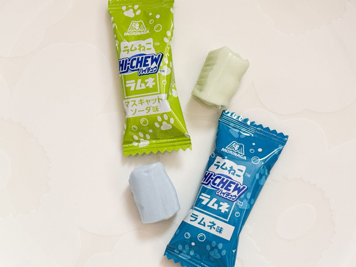 20260209 ファミリ～にゃ～ト大作戦！