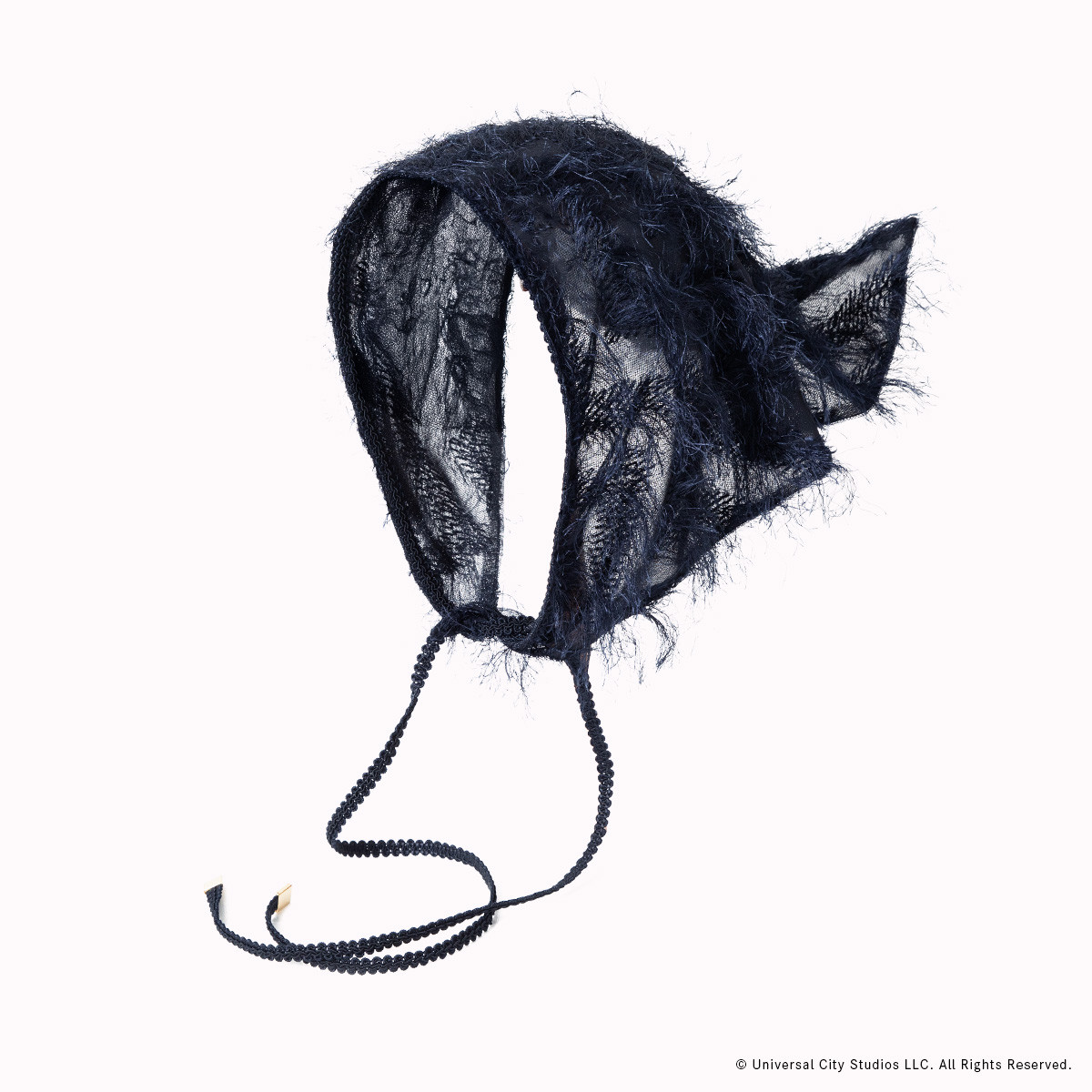 260219_ウィキッド