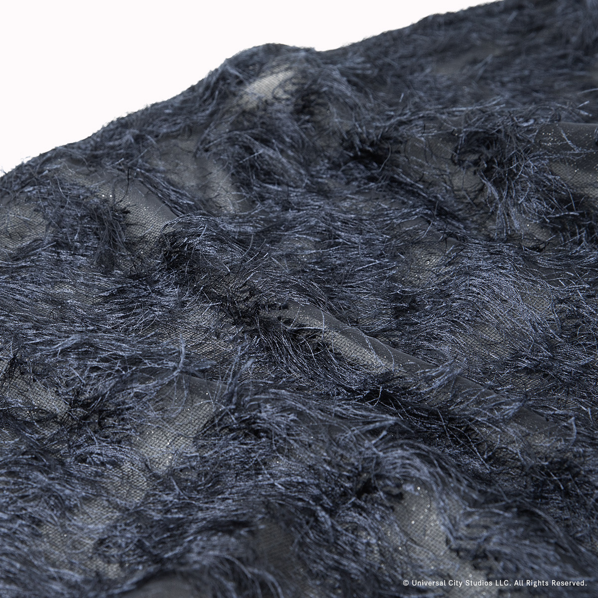 260219_ウィキッド