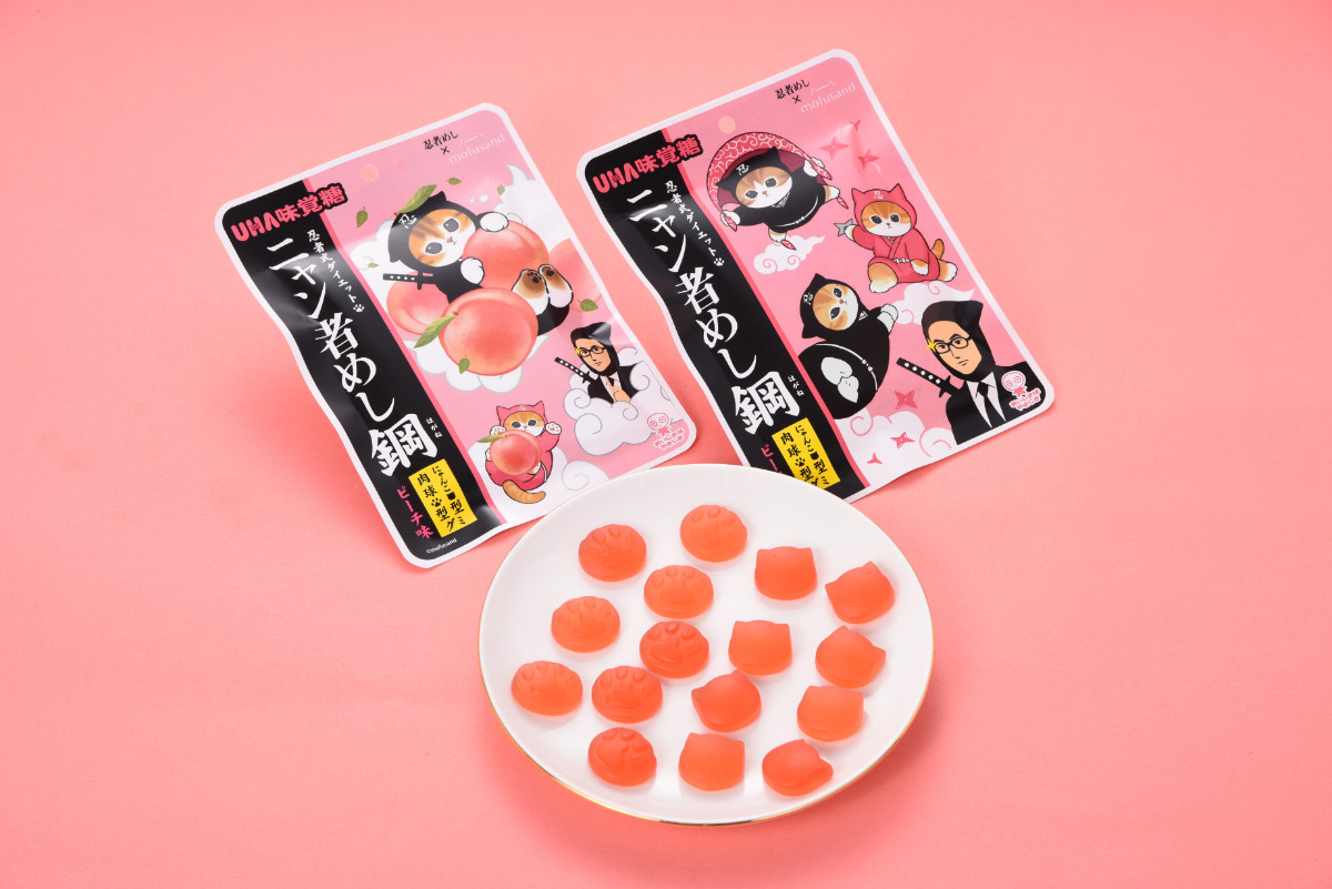 20260204 ファミリ～にゃ～ト大作戦！