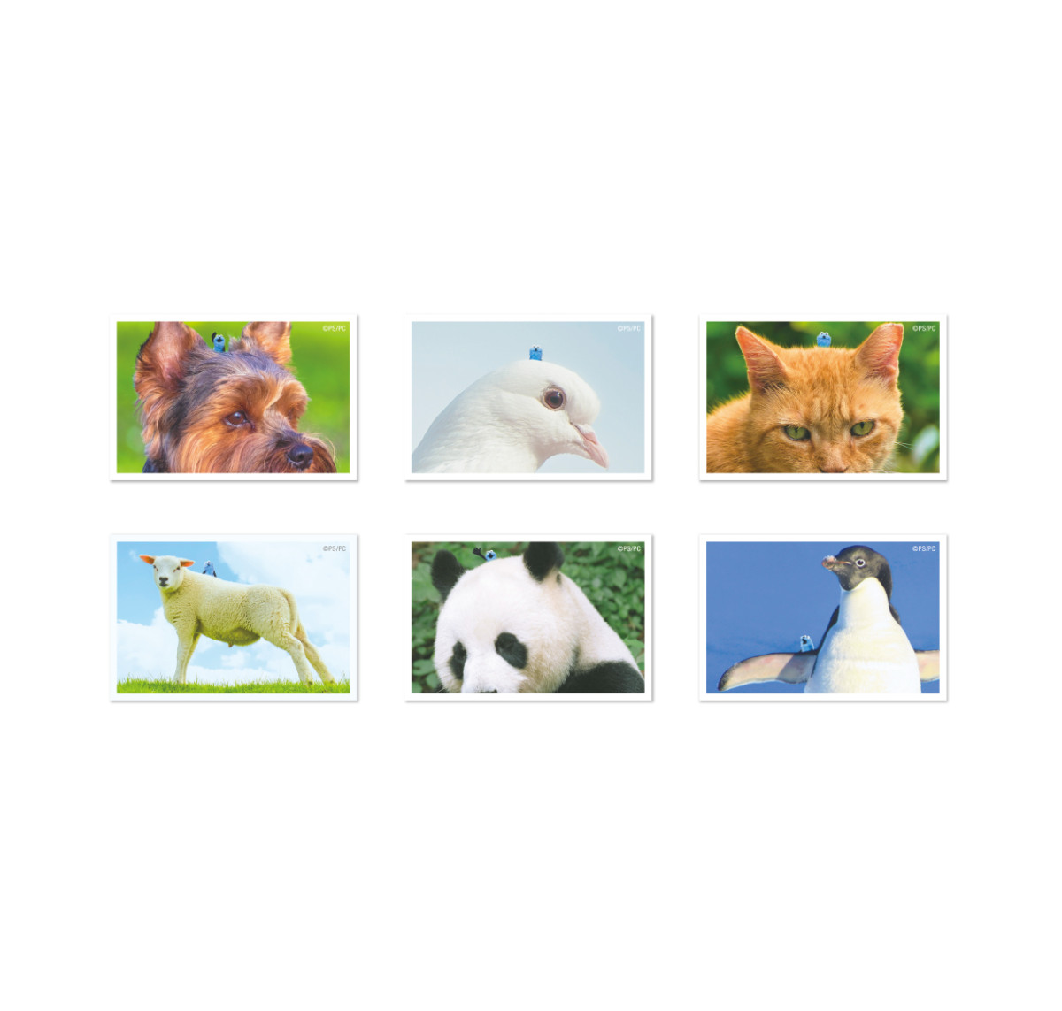 20260422_スンスン