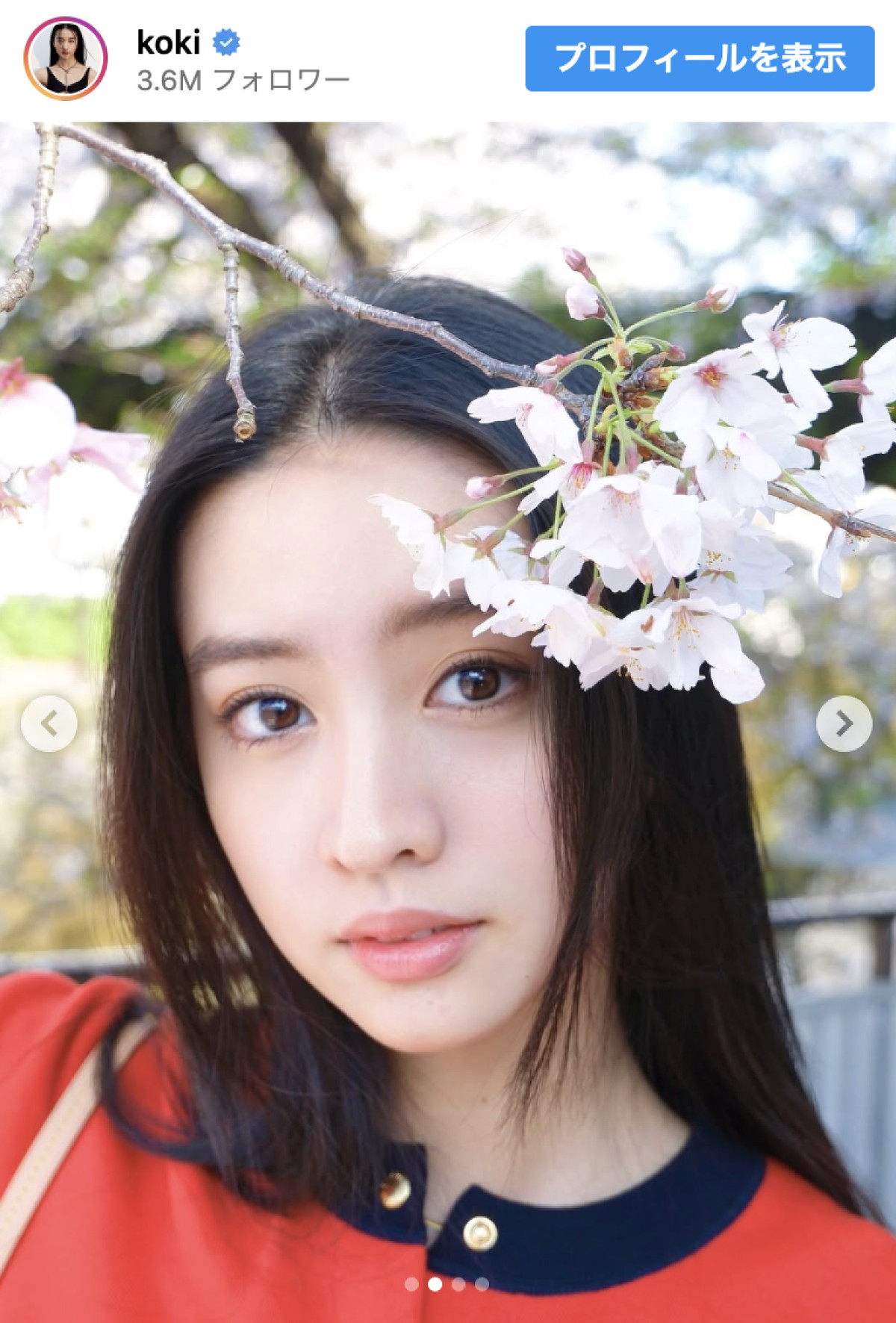 Koki，この一瞬が美しすぎる　桜とともに切り取った“奇跡の横顔”