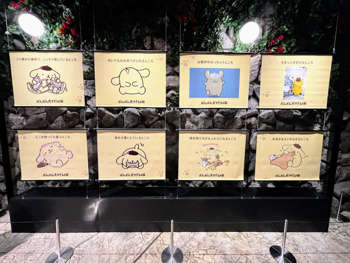 20260412 ポムポムすぎるよ展